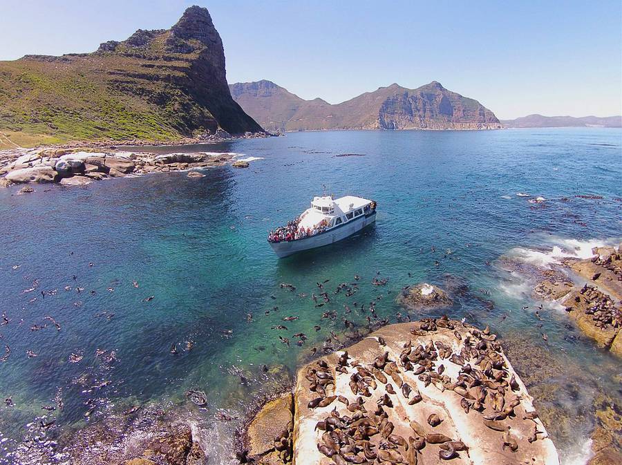 جزیره دویکر-طبیعت آفریقای جنوبی